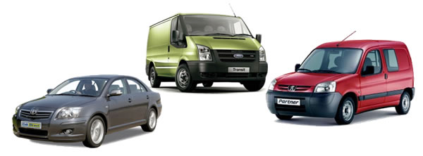 S mcpeake on sale vans